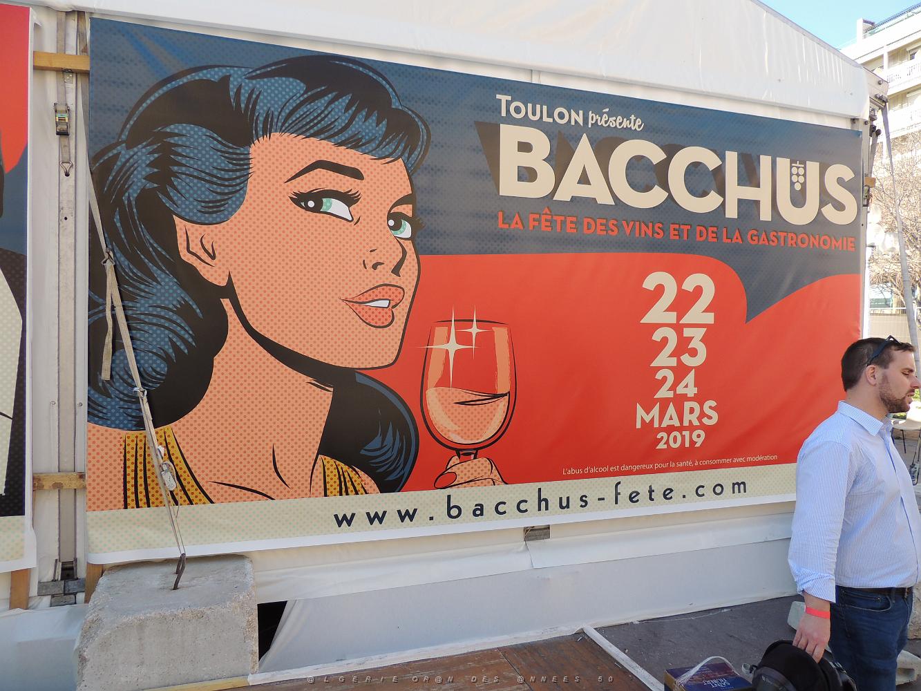 Toulon Bacchus 2019 (7).JPG -           
